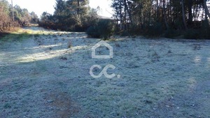 Terreno R�stico T0 - S�o Pedro de Agostem, Chaves, Vila Real - Miniatura: 5/8