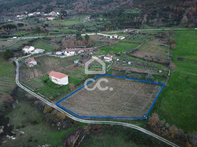 Terreno R�stico T0 - Vilar de Nantes, Chaves, Vila Real - Imagem grande