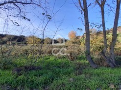 Terreno R�stico T0 - Santa Maria Maior, Chaves, Vila Real - Miniatura: 4/15