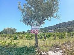 Terreno R�stico T0 - Vilar de Nantes, Chaves, Vila Real - Miniatura: 10/14