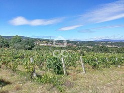 Terreno R�stico T0 - Vilar de Nantes, Chaves, Vila Real - Miniatura: 14/14
