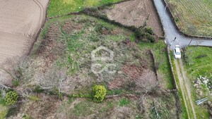 Terreno R�stico T0 - Boticas, Boticas, Vila Real - Miniatura: 3/8