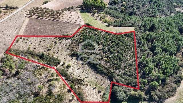 Terreno R�stico T0 - S�o Vicente, Chaves, Vila Real - Imagem grande