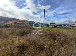 Terreno R�stico T0 - Vilar de Nantes, Chaves, Vila Real - Miniatura: 4/15