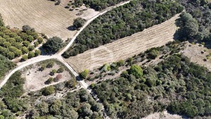Terreno R�stico T0 - S�o Vicente, Chaves, Vila Real - Miniatura: 3/19
