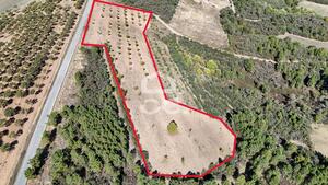 Terreno R�stico T0 - S�o Vicente, Chaves, Vila Real - Miniatura: 5/19