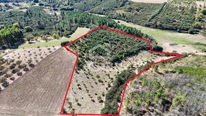 Terreno R�stico T0 - S�o Vicente, Chaves, Vila Real - Miniatura: 6/19