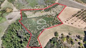 Terreno R�stico T0 - S�o Vicente, Chaves, Vila Real - Miniatura: 7/19