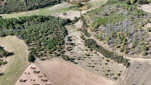 Terreno R�stico T0 - S�o Vicente, Chaves, Vila Real - Miniatura: 8/19