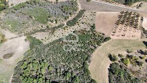 Terreno R�stico T0 - S�o Vicente, Chaves, Vila Real - Miniatura: 9/19