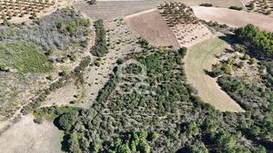 Terreno R�stico T0 - S�o Vicente, Chaves, Vila Real - Miniatura: 10/19