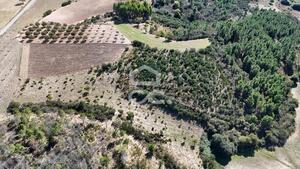 Terreno R�stico T0 - S�o Vicente, Chaves, Vila Real - Miniatura: 11/19