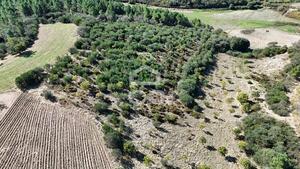 Terreno R�stico T0 - S�o Vicente, Chaves, Vila Real - Miniatura: 12/19