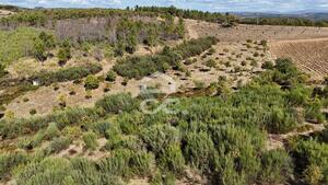 Terreno R�stico T0 - S�o Vicente, Chaves, Vila Real - Miniatura: 14/19
