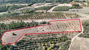 Terreno R�stico T0 - S�o Vicente, Chaves, Vila Real - Miniatura: 15/19