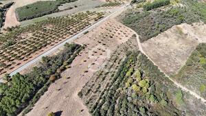 Terreno R�stico T0 - S�o Vicente, Chaves, Vila Real - Miniatura: 16/19