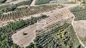Terreno R�stico T0 - S�o Vicente, Chaves, Vila Real - Miniatura: 17/19