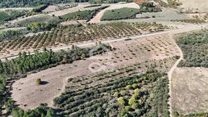 Terreno R�stico T0 - S�o Vicente, Chaves, Vila Real - Miniatura: 18/19