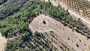 Terreno R�stico T0 - S�o Vicente, Chaves, Vila Real - Miniatura: 19/19