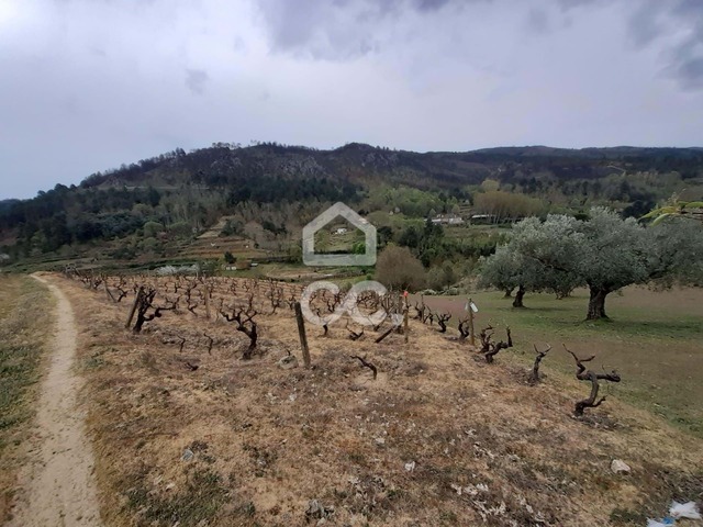Terreno R�stico T0 - Madalena, Chaves, Vila Real - Imagem grande