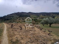 Terreno R�stico T0 - Madalena, Chaves, Vila Real