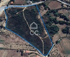 Terreno R�stico T0 - Bornes de Aguiar, Vila Pouca de Aguiar, Vila Real