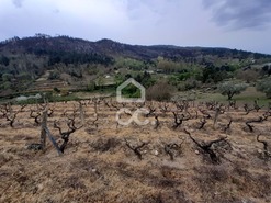 Terreno R�stico T0 - Madalena, Chaves, Vila Real - Miniatura: 1/10