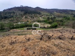 Terreno R�stico T0 - Madalena, Chaves, Vila Real - Miniatura: 2/10
