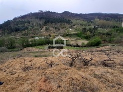 Terreno R�stico T0 - Madalena, Chaves, Vila Real - Miniatura: 3/10