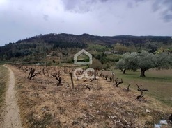 Terreno R�stico T0 - Madalena, Chaves, Vila Real - Miniatura: 4/10