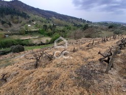 Terreno R�stico T0 - Madalena, Chaves, Vila Real - Miniatura: 5/10