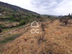 Terreno R�stico T0 - Madalena, Chaves, Vila Real - Miniatura: 7/10