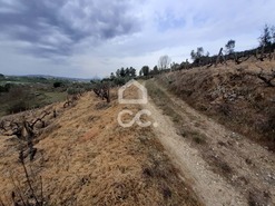 Terreno R�stico T0 - Madalena, Chaves, Vila Real - Miniatura: 8/10