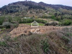 Terreno R�stico T0 - Madalena, Chaves, Vila Real - Miniatura: 9/10