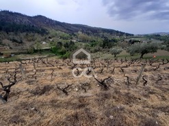 Terreno R�stico T0 - Madalena, Chaves, Vila Real - Miniatura: 10/10
