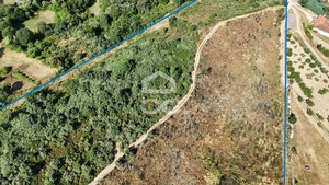 Terreno R�stico T0 - Bornes de Aguiar, Vila Pouca de Aguiar, Vila Real - Miniatura: 2/19