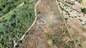 Terreno R�stico T0 - Bornes de Aguiar, Vila Pouca de Aguiar, Vila Real - Miniatura: 9/19