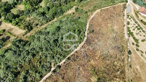 Terreno R�stico T0 - Bornes de Aguiar, Vila Pouca de Aguiar, Vila Real - Miniatura: 10/19