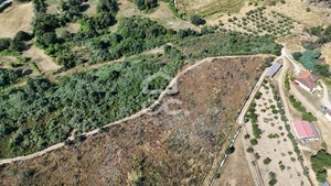 Terreno R�stico T0 - Bornes de Aguiar, Vila Pouca de Aguiar, Vila Real - Miniatura: 13/19