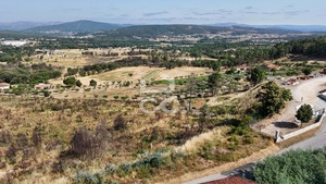 Terreno R�stico T0 - Bornes de Aguiar, Vila Pouca de Aguiar, Vila Real - Miniatura: 19/19