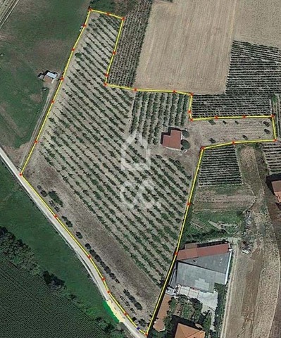 Terreno R�stico T0 - N�o Definido, N�o Definido, N�o Definido - Imagem grande