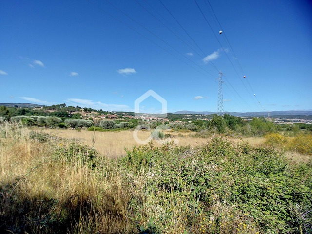 Terreno R�stico T0 - Madalena, Chaves, Vila Real - Imagem grande