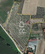 Terreno R�stico T0 - N�o Definido, N�o Definido, N�o Definido