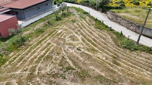 Terreno R�stico T0 - Madalena, Chaves, Vila Real - Miniatura: 15/22
