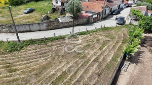 Terreno R�stico T0 - Madalena, Chaves, Vila Real - Miniatura: 16/22