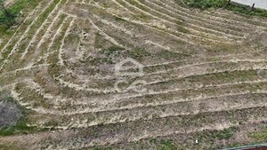 Terreno R�stico T0 - Madalena, Chaves, Vila Real - Miniatura: 18/22