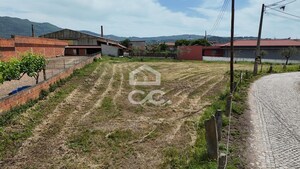 Terreno R�stico T0 - Madalena, Chaves, Vila Real - Miniatura: 21/22