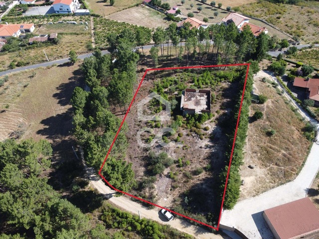 Terreno R�stico T0 - S�o Pedro de Agostem, Chaves, Vila Real - Imagem grande