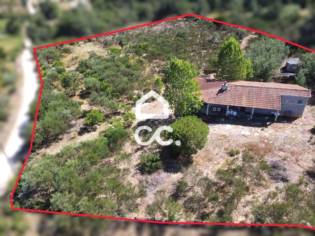 Terreno R�stico T0 - Santa Cruz/Trindade, Chaves, Vila Real - Imagem grande