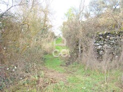 Terreno R�stico T0 - Madalena, Chaves, Vila Real - Miniatura: 3/6